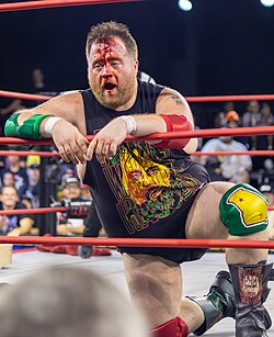 Paul Walter Hauser